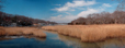Salt Marsh Conscience Bay